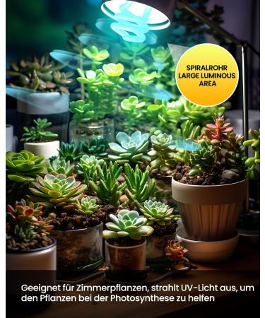 Tobebright 13W UVB Lamp 5.0 - Optimal Compact Fluorescent Lamp for Reptiles Aquariums & Terrariums | E27 AC220-240V - Buy Online on GoSupps.com