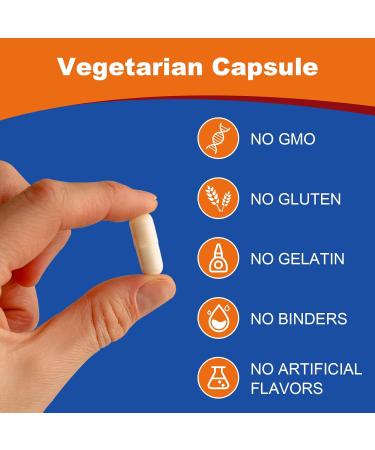 Spliferkou 2000mg Tudca Liver Support Supplement Tudca Bile Salt with Milk Thistle and Nac 120 Capsules for 60 Days Support for Liver Detoxification Immune System - Buy Online on GoSupps.com