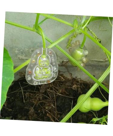 VANZACK Vegetable 4pcs Fruit Novel Shaping Buddha Shaped Cake Fruit Vegetable 3D Pumpkin Melon - Buy Online on GoSupps.com