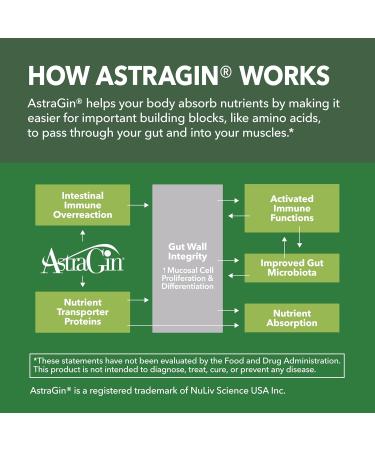 Micronized Creatine Monohydrate Capsules with AstraGin - Supports Muscle Strength Energy and Recovery - 120 Count - Enhanced Absorption Formula - 3g Per Serving - Vegan and Non-GMO - Month Supply - Buy Online on GoSupps.com