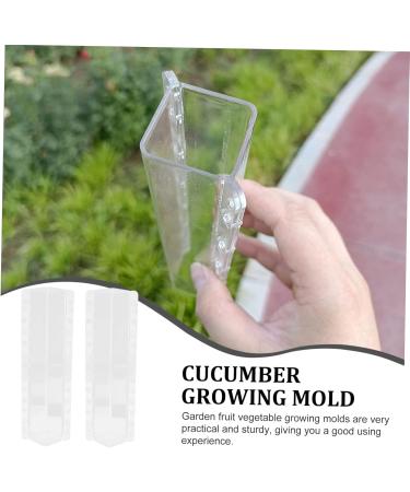 2pcs Vegetable Shaping Mold Fruit Vegetable Growth Forming Molds Vegetable Shape Mold Modeling Suite - Buy Online on GoSupps.com