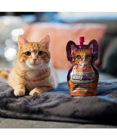 KittyRade Delicious Healthy Isotonic Drink for Cats with Prebiotics Electrolytes Taurine and Amino Acids - Finally The Hydration Cats Need! - 250ml x 10 Pouches Pack 250 ml (Pack of 10) - Buy Online on GoSupps.com