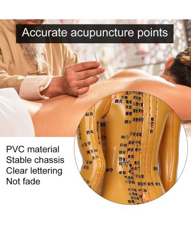 Acupuncture Model - Copper Female & Male Meridian Points for Chinese Medicine & Massage Crafts - Buy Online on GoSupps.com
