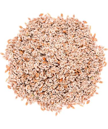 Food to Live Organic Whole Psyllium Seeds 2.5 Pounds - Non-GMO Vegan Kosher Keto Friendly Raw Bulk Natural Food Thickener for Cooking - Add a Boost to Smoothies and Dishes Seeds 2.5 Pound - Buy Online on GoSupps.com