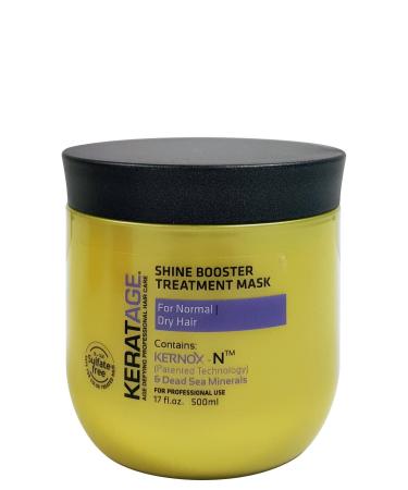 Shine Booster Treatment Mask 17 oz