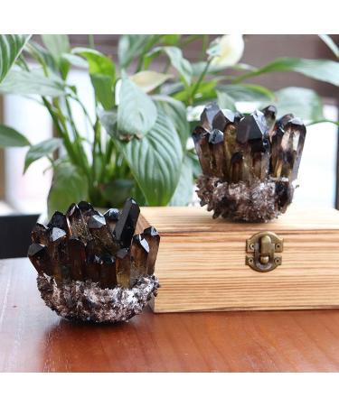 Natural Smokey Raw Crystal Cluster Tea Crystal Cluster with Stand Stones Enery Crystal Point Specimen Home Decoration Gemstone 500-700g Gift (Color : 300-500g) - Buy Online on GoSupps.com