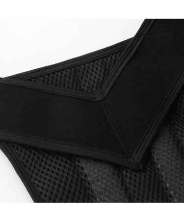 Waist Trainer Posture Corrector Back Brace Full Back Support Belt Clavicle Spine Support Reshape Waist Cincher(3X-Large) XXX-Large Black - Buy Online on GoSupps.com
