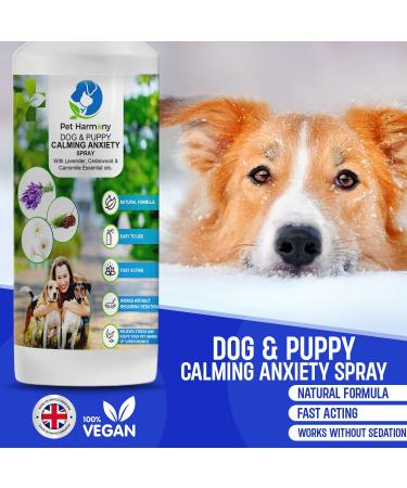 Pet Harmony Anxiety Calming Spray for Dogs & Puppies - 500ml - Natural Training Aid for Separation Anxiety & Stress Relief - Effective Soothing Formula 500 ml (Pack of 1) - Buy Online on GoSupps.com