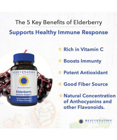 Rejuvenation Therapeutics Elderberry - Elderberry Capsules for Immune Support -Elderberry Cold Fighter - Buy Online on GoSupps.com