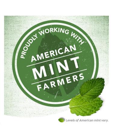 Colgate Baking Soda and Peroxide Whitening Toothpaste - 6oz (Pack of 2) Brisk Mint - Dental Care Set - Buy Online on GoSupps.com