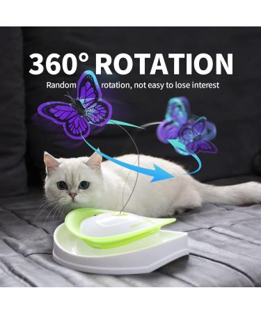 All for Paws 2 in 1 Interactive Cat Toy - Fluttering Butterfly & Rolling Balls - Automatic Indoor Kitten Spinner Toy - Buy Online on GoSupps.com