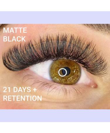 Shop Premium Premade Fans Eyelash Extensions - 800 Handmade Loose Volume Lashes 8-15mm | 6D 8D 10D 12D 14D D Curl by Befacl - Buy Online on GoSupps.com