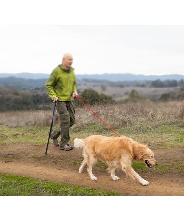 Black Folding Hiking Poles Set - Lightweight & Durable Alpenstocks for Outdoor Walking & Climbing - Buy Online on GoSupps.com