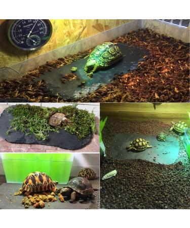 Tfwadmx Reptile Basking Platform Tortoise Rock Plate Feeding Food Bowl Dish Feeding Slate Turtle Bathing Resting Platform for Lizard Gecko Bearded Dragon Chameleon Snake Frog 11''x5.5'' natural - Buy Online on GoSupps.com