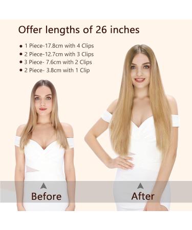 SEGO Clip In Hair Extensions 8 Part Set | 66cm Smooth Natural Ash Blonde & Silver Gray Mix | Premium Synthetic Hair - Buy Online on GoSupps.com