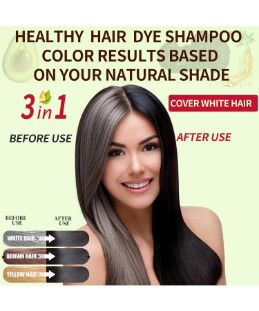 Buy Black Hair Dye Shampoo - 3 in 1 Instant Color for Men & Women | 100% Gray Coverage | Herbal Formula | 500ML - Long Lasting Results - Buy Online on GoSupps.com