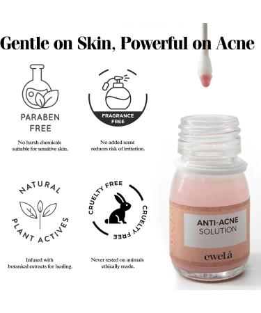 Ewela Blemish Drying Lotion - Overnight Spot Care with Salicylic Acid Calamine Zinc Oxide & Tea Tree - Pink Bi-Phase Formula for Oily & Sensitive Skin - Soothes Redness & Surface Impurities (30ml) - Buy Online on GoSupps.com