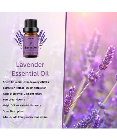Yethious 4 Pack Essential Oil Set - Lavender Jasmine Vanilla Eucalyptus for Diffuser, Soap, Candles - Premium Aromatherapy Bundle - Buy Online on GoSupps.com