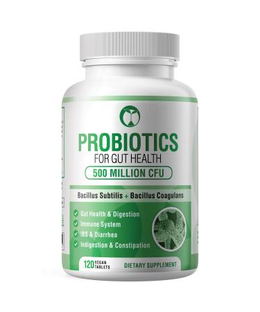 Probiotics for Gut Health & Digestive Support | Daily Probiotic Complex Supplements for Men & Women | 120 Tablets | Bacillus Subtilis & Coagulans | 500 Million CFU Live Bacteria (120 Tablets) 120 Count (Pack of 1)