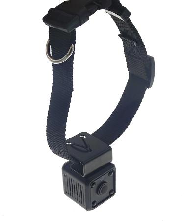 Wireless Rechargeable WiFi Pet Collar Camera Recorder Tracker - 720P HD with Night Vision - Bigger Size - Behavior Observation - Buy Online on GoSupps.com