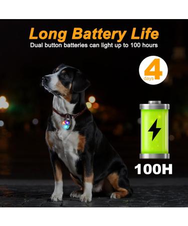 AUAUY 2PCS LED Dog Collar Light LED-Light Pendant Keyring Dog Collar Charms Blinker Light 3 Light Modes Dog Lights LED Safety Light for the Dark for Night Walking Running Dog Collar-Green 2 Pack White & Green - Buy Online on GoSupps.com