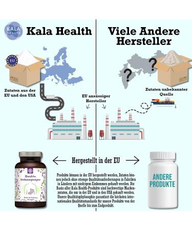 Buy Vegetable Digestive Enzymes - Plant-Based Fermentation Formula for Optimal Absorption | Kala Health - Buy Online on GoSupps.com
