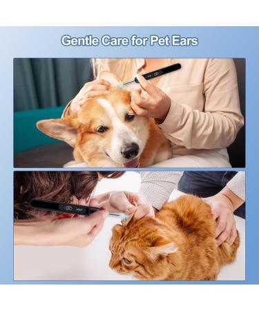 Ear Wax Removal Ear Cleaner with 1080P HD Camera with 6 LED Lights/IP67 Waterproof Lens/8 Traditional Tools Ear Wax Removal Kit Rechargeable Ear Cleaning kit for iOS Android Tablet (Black10) - Buy Online on GoSupps.com