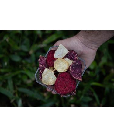 NULTHY Chips de L gumes Exotiques Gourmet 24x70g KITU-M lange Naturel: Banane plantain Manioc Patate douce violette Carotte blanche et Betterave-50% de mati res grasses en moins Sans conservateurs - Buy Online on GoSupps.com