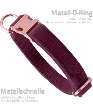 Shop Asvin Velvety Dog Collar with Removable Fly | Soft & Comfortable Multicolored Collar for Weddings & Parties - International Shipping - Buy Online on GoSupps.com