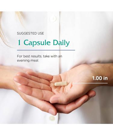 Vitanica Cortisol Relief Dr. Formulated Sleep Stress Cortisol Manager Supplement Vegan 60 Capsules Cortisol Relief Pro Logo - Buy Online on GoSupps.com