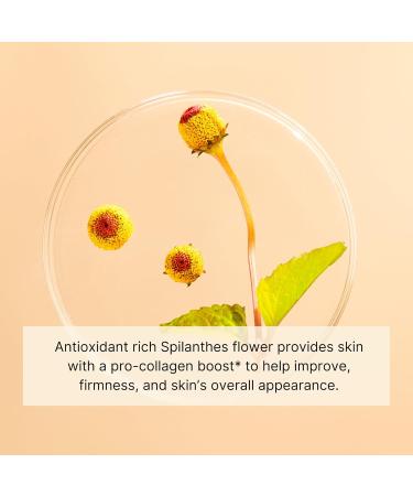 Buy Jurlique Nutri-Define Mask | Anti-Aging Skincare for Radiant Skin | International Shipping Available - Buy Online on GoSupps.com