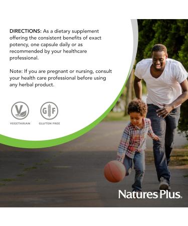 Natures Plus Herbal Actives Gymnema Sylvestre - 300 mg - Ayurvedic Botanical Supplement - 60 Vegan Capsules (60 Servings) - Buy Online on GoSupps.com