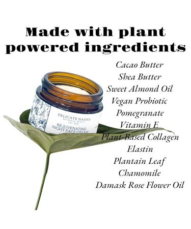 Rejuvenating Night Face Cream - Organic Vegan Moisturizer with Shea Butter Cocoa Butter Bulgarian Rose Oil & Vitamin E - 1.69 fl oz - Natural & Cruelty-Free - Buy Online on GoSupps.com