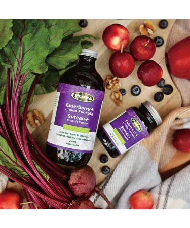 Flora Health Organic Elderberry+ Cold & Flu Liquid Daily Supplement Immune Booster Echinacea No Added Sugar Gluten Free Strengthen Immunity Detox Body Boost Energy 250 ml liquid Glass Bottle - Buy Online on GoSupps.com