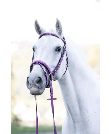 Indira Bridle Pro - Full Warmblood Size Pink 01 | Premium Quality Equestrian Gear for International Shipping - Buy Online on GoSupps.com