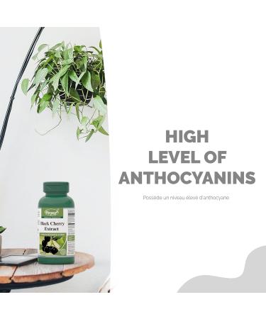 Black Cherry Extract 600mg 3 X 60 Capsules with Thyme Peppermint and Celery Gout Pain Relief Treatment Uric Acid Supplement | Tart Cherry Alternative | 3 Bottles 60 count (Pack of 3) - Buy Online on GoSupps.com