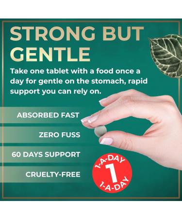 Iron Supplement for Women with Folic Acid - 35 mg Blood Builder Ferrous Sulfate Folic Acid 400 mcg - Iron Pills for Women with Anemia & Pregnancy Support - 60 Gluten-Free Vegan Vitamin Tablets 60 Count (Pack of 1) - Buy Online on GoSupps.com