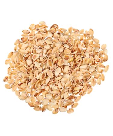 NUOBESTY Pistachios 1 Pistachio Shell Craft for Kids Crafts Supplies for Kids Handmade Supplies Turkey Child Natural As Shown 2X1.2CM