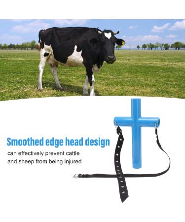 Livestock Mouth Opener Durable Livestock Gastric Lavage Equipment for Animal Husbandry (S) Small - Buy Online on GoSupps.com