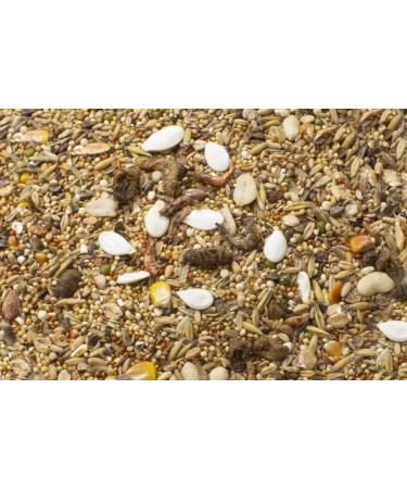 JR FARM Dwarf Hamster Feast 600g - Chicken Beef Seafood & Rice - Premium International Shipping - Buy Online on GoSupps.com