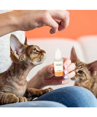 Hudhowks Pet Hair Nutrition Oil Waterless Pet Hair Essence Oil Deep Hydrating Grooming Dog Cat Essence Pet Leave-in Essence Pet Skin Care Supplies For Refreshing & Moisturizing For Dog Cat Puppy - Buy Online on GoSupps.com
