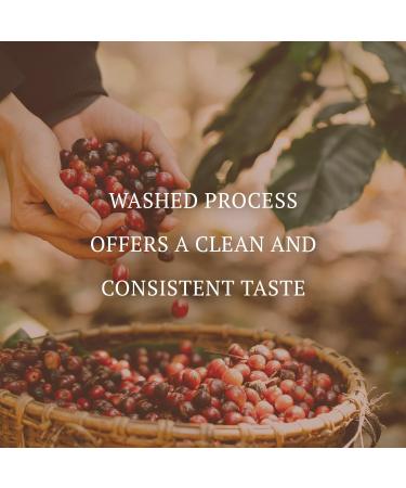 Hanoi Hills Heritage Blend 100% Robusta Vietnamese Coffee Beans - 250g - Buy Online on GoSupps.com