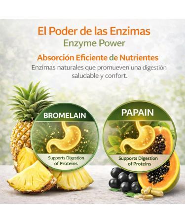 Daily Fiber Wellness Blend Mezcla de Fibra Diaria 16 oz Natural Plant-Based Supplement Flaxseed Alcachofa Garcinia Nopal Senna Noni A a Pi a & Omega 3-6-9 Panza(Cactus Papaya) Bienestar Digestivo - Buy Online on GoSupps.com