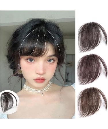 Bangs Hair Clip Oblique Bangs Wig Natural Forehead Partial Air Bangs Wig Female Invisible Seamless Fake Bangs Bangs Clip in Hair(Color:T1B/613) - Buy Online on GoSupps.com