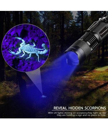 Blacklight UV Flashlight | LED Urine Detector for Dogs Cats & Pet Stains on Carpets & Floors - International Shipping - Buy Online on GoSupps.com