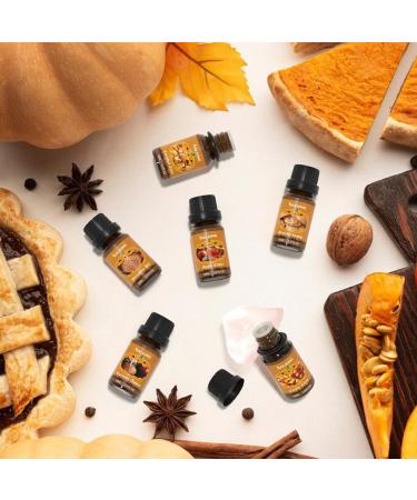 Buy SALKING Halloween Fragrance Oils - Premium Essential Oils for Diffuser & Candle Making | Pumpkin Caramel Apple Cider Scents Gift Set - Buy Online on GoSupps.com