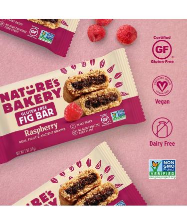 Nature's Bakery Gluten Free Fig Bars 12-Pack Raspberry Twin Packs - Vegan, Non-GMO (Packaging May Vary) - Buy Online on GoSupps.com