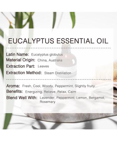 Clove Essential Oil and Eucalyptus Essential Oil for Aromatherapy Diffusers Candle Soap Making - Buy Online on GoSupps.com