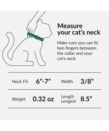 Collardirect Leather Cat Safety Collar with Elastic Belt & Bell | Adjustable 15-18 cm | Available in Black Blue Red Orange Green Pink | International Shipping - Buy Online on GoSupps.com