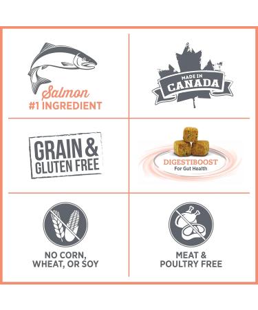 Nutrience Care Sensitive Skin & Stomach Hypoallergenic Dog Food Salmon & Pumpkin 2.27 kg (5 lb) Bag - Buy Online on GoSupps.com